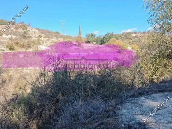 plot for sale simou paphos 8748899 image 16469706