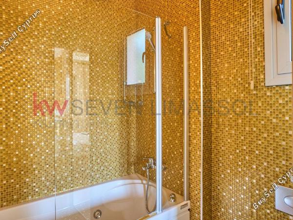 3 bedroom detached house for rent agios tychonas limassol 8698999 image 16211122