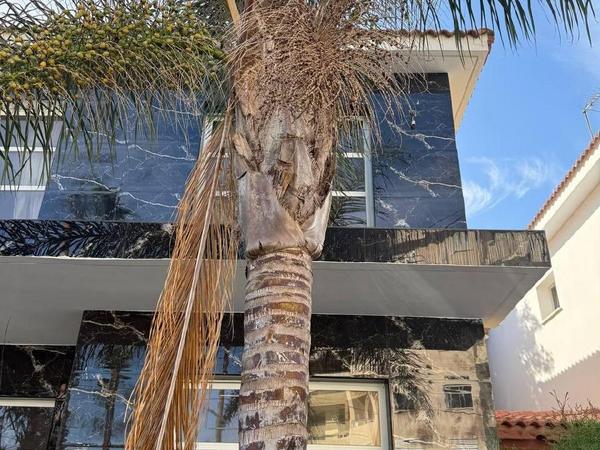 3 bedroom semi detached house for sale linopetra limassol 1678999 image 5126688