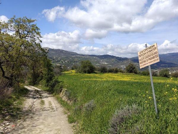 land for sale laneia limassol 8560999 image 15593720