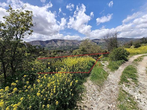 land for sale laneia limassol 8560999 image 15593722