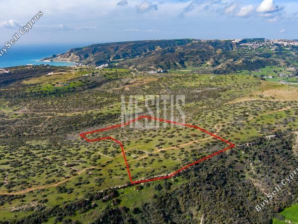 plot for sale pissouri limassol 975999 image 10480152