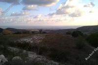 12533 SQM Land in Marathounta (Paphos) for sale 