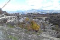 7440 SQM Land in Letymvou (Paphos) for sale 