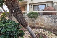 4 Bedroom Detached house · Potamos Germasogeias (Limassol) for sale 