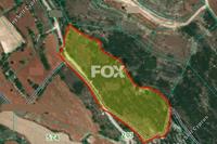 18395 SQM Land in Tsada (Paphos) for sale 