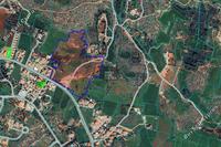 6595 SQM Land in Ayia Napa (Famagusta) for sale 