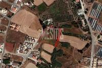 4261 SQM Plot in Avgorou (Famagusta) for sale 