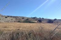 5017 SQM Land in Mazotos (Larnaca) for sale 