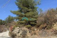 3011 SQM Land in Kyperounta (Limassol) for sale 