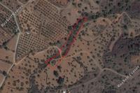 2788 SQM Land · Lythrodontas (Nicosia) for sale 