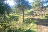 5352 SQM Land · Pano Pyrgos (Nicosia) for sale 