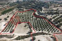 14716 SQM Land · Alaminos (Larnaca) for sale 