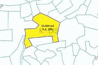 13044 SQM Land in Alampra (Nicosia) for sale 