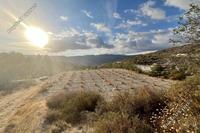 4343 SQM Land in Laneia (Limassol) for sale 