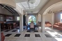 3 Bedroom Bungalow · Lofos Tala (Paphos) for sale 