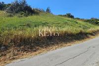 9574 SQM Land · Pyrgos Limassol (Limassol) for sale 