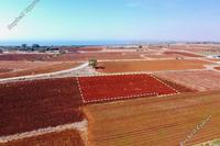 4679 SQM Land in Xylofagou (Larnaca) for sale 