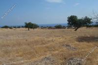 12041 SQM Land · Pissouri (Limassol) for sale 