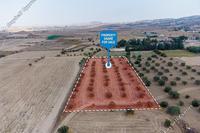 9616 SQM Land in Dali (Nicosia) for sale 