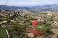 3266 SQM Land in Stroumbi (Paphos) for sale 