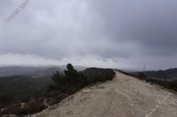 9365 SQM Land · Chrysopolitissa (Larnaca) for sale 