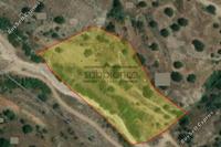 5352 SQM Land in Statos Agios Fotios (Paphos) for sale 