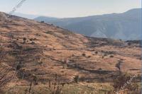7693 SQM Land in Kilinia (Paphos) for sale 