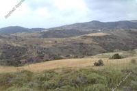 15051 SQM Land · Ineia (Paphos) for sale 