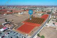 19766 SQM Land · Avgorou (Famagusta) for sale 
