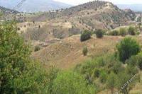 4683 SQM Land · Statos Agios Fotios (Paphos) for sale 