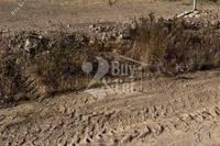 10554 SQM Land in Monagroulli (Limassol) for sale 