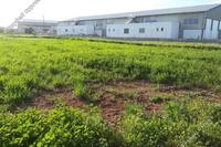 2360 SQM Plot in Deryneia (Famagusta) for sale 