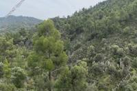 10703 SQM Land in Lythrodontas (Nicosia) for sale 