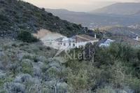 53961 SQM Plot · Foinikaria (Limassol) for sale 