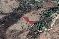 4666 SQM Land in Pigenia (Nicosia) for sale 