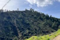 4683 SQM Land in Palaichori Oreinis (Nicosia) for sale 