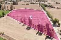 16138 SQM Land · Potamia (Nicosia) for sale 