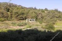 8148 SQM Plot in Paphos Municipality (Paphos) for sale 