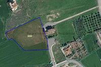 8027 SQM Plot in Anafotida (Larnaca) for sale 