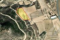9970 SQM Land in Oroklini (Larnaca) for sale 