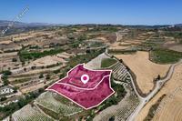 14382 SQM Land in Stroumbi (Paphos) for sale 