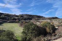 10406 SQM Land in Theletra (Paphos) for sale 