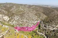16054 SQM Plot · Akoursos (Paphos) for sale 