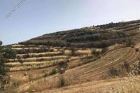 967 SQM Land · Vouni (Limassol) for sale 