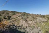 13379 SQM Land in Pigenia (Nicosia) for sale 