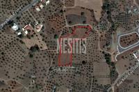 7693 SQM Plot in Kornos (Larnaca) for sale 