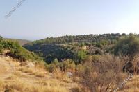 12375 SQM Land in Pachna (Limassol) for sale 