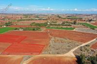 10568 SQM Land in Frenaros (Famagusta) for sale 