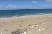 64058 SQM Land in Poli Chrysochous (Paphos) for sale 